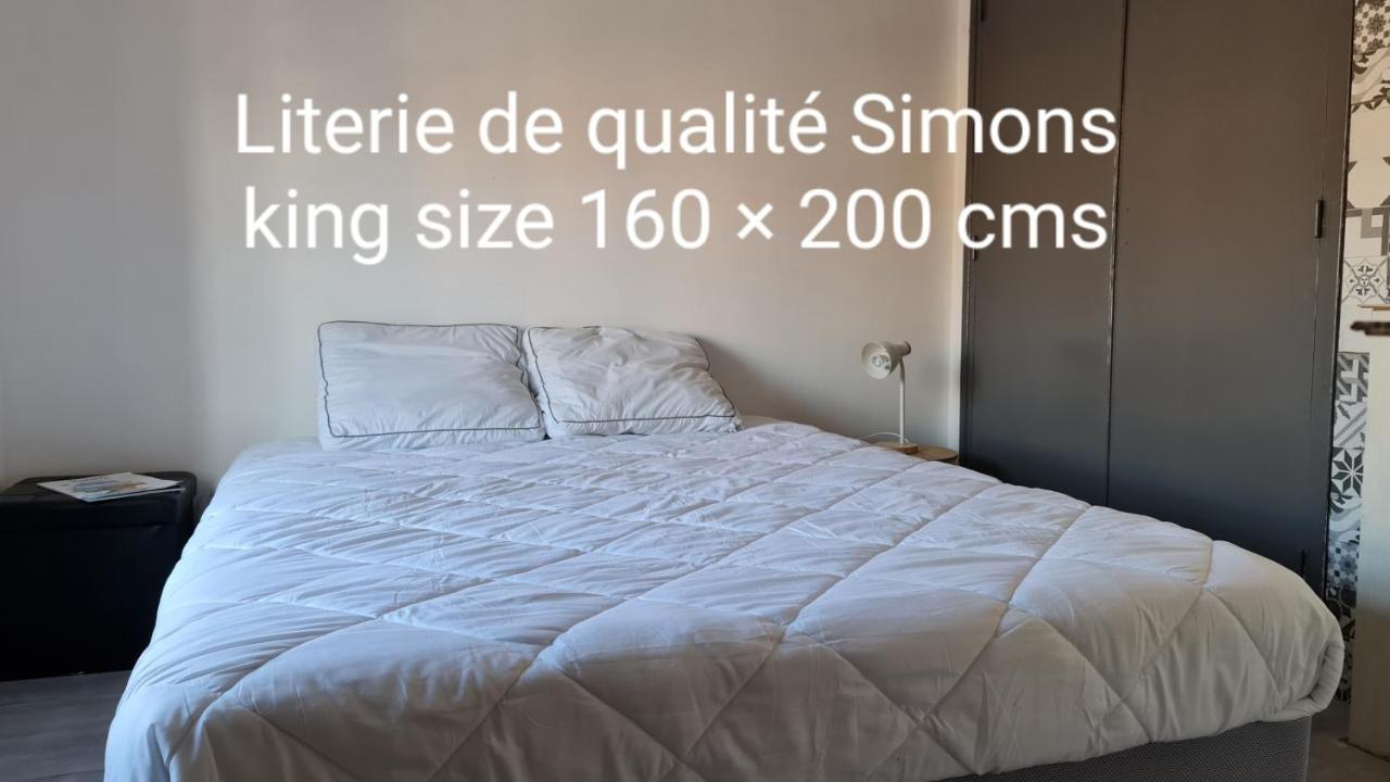 Le Studio De La Republique Agde Eksteriør bilde
